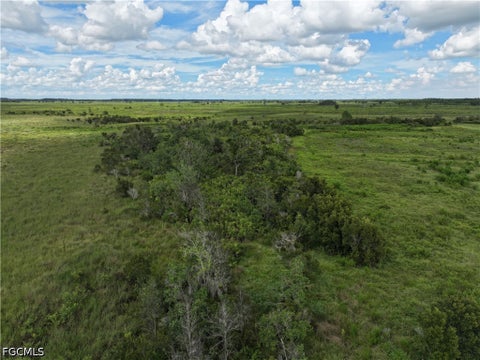 Tiny photo for 0 County Line Road E, Fort Meade, FL 33841 (MLS # 2026029995)