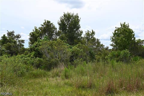 Tiny photo for 0 County Line Road E, Fort Meade, FL 33841 (MLS # 2026029995)