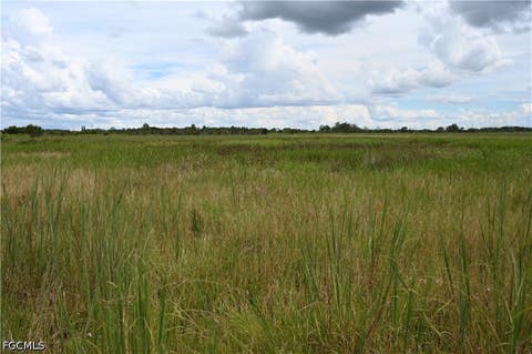 Tiny photo for 0 County Line Road E, Fort Meade, FL 33841 (MLS # 2026029995)