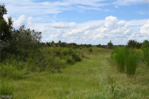 Tiny photo for 0 County Line Road E, Fort Meade, FL 33841 (MLS # 2026029995)