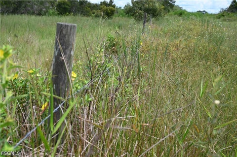 Tiny photo for 0 County Line Road E, Fort Meade, FL 33841 (MLS # 2026029995)
