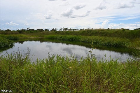 Tiny photo for 0 County Line Road E, Fort Meade, FL 33841 (MLS # 2026029995)