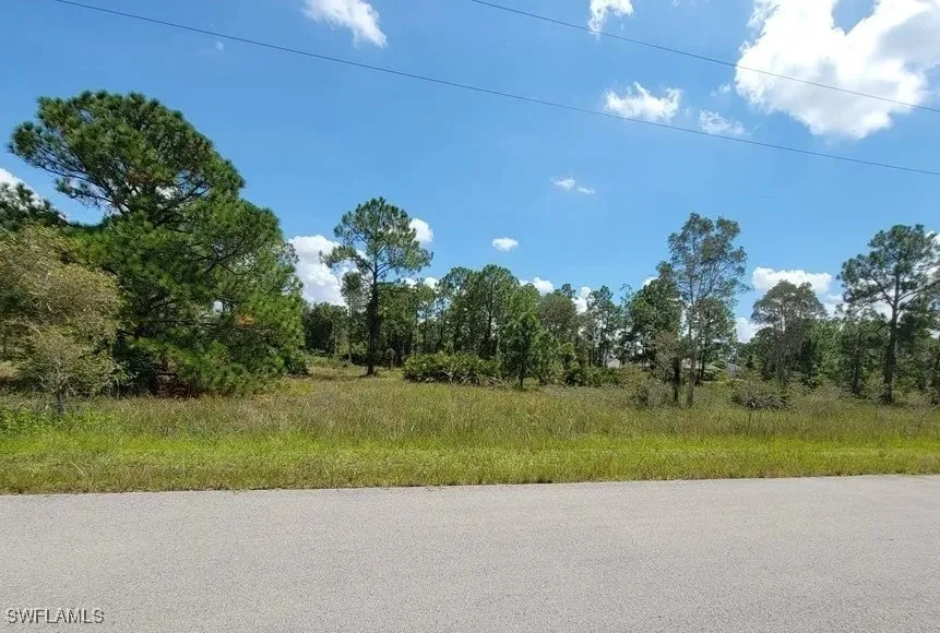 Lehigh Acres, Florida 33974, United States, ,Land,Pending,11309