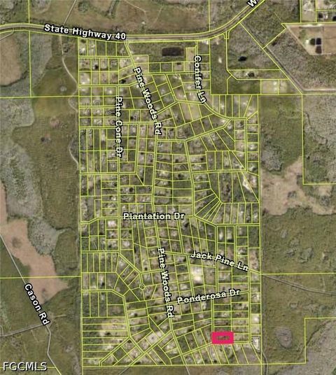 Photo of 456 Red Pine Court, Ormond Beach, FL 32174 (MLS # 2026019963)