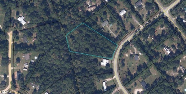 2302 COSMOS AVE, MIDDLEBURG, FL 32068 - Image 4c242cac89dbb54b4ed6e47f3ed4c2a4/3237990025