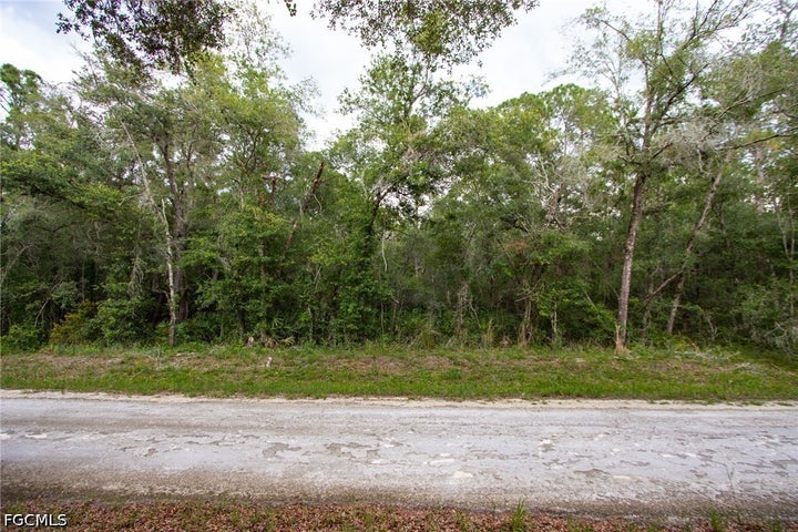Photo 1 of 3 — 7398 Southeast Avenue, Webster, FL 33597