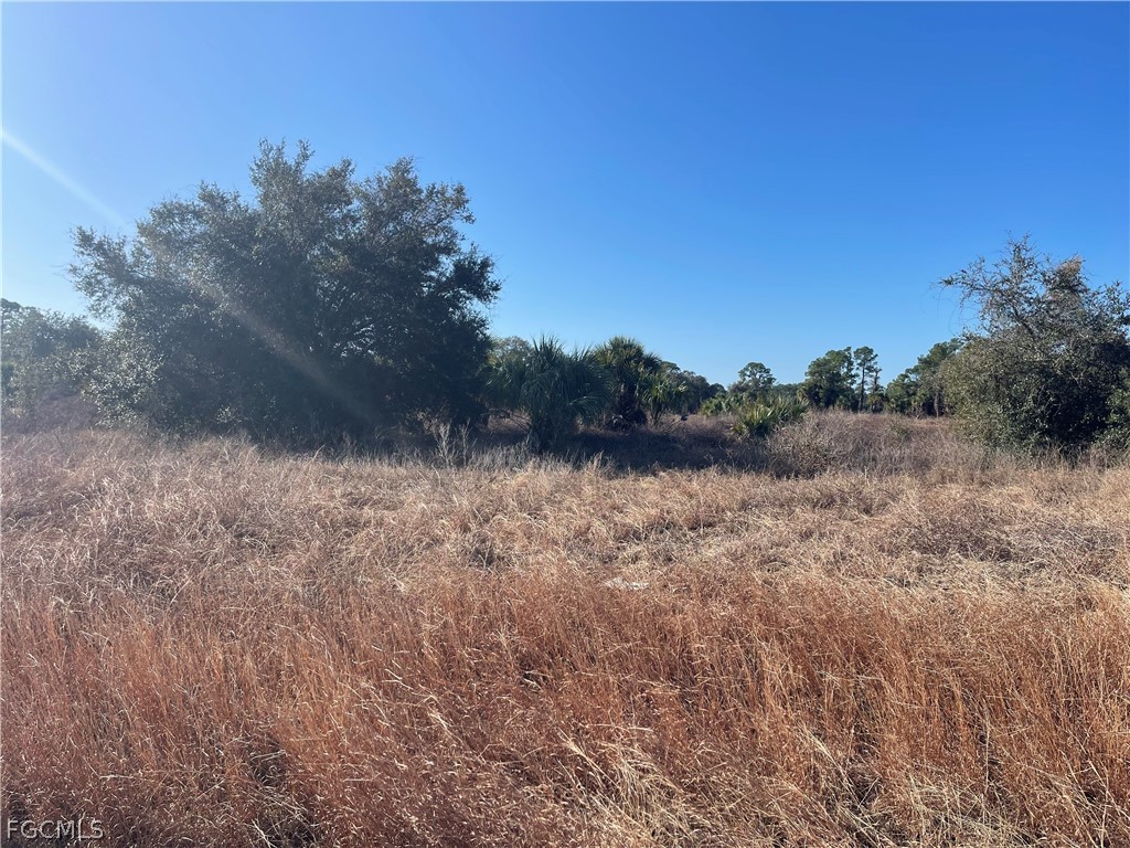 208 John Young Terrace