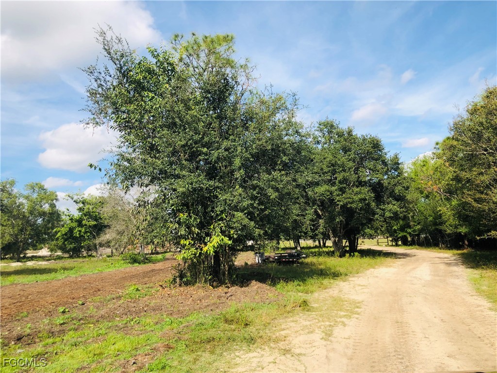 17341 Balfour Terrace