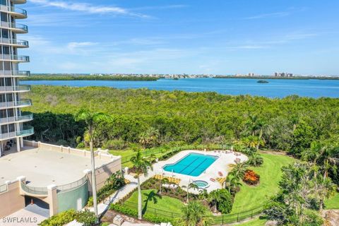 A home in BONITA SPRINGS