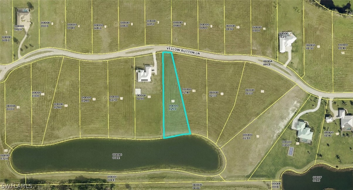 22776 Yellow Button Lane