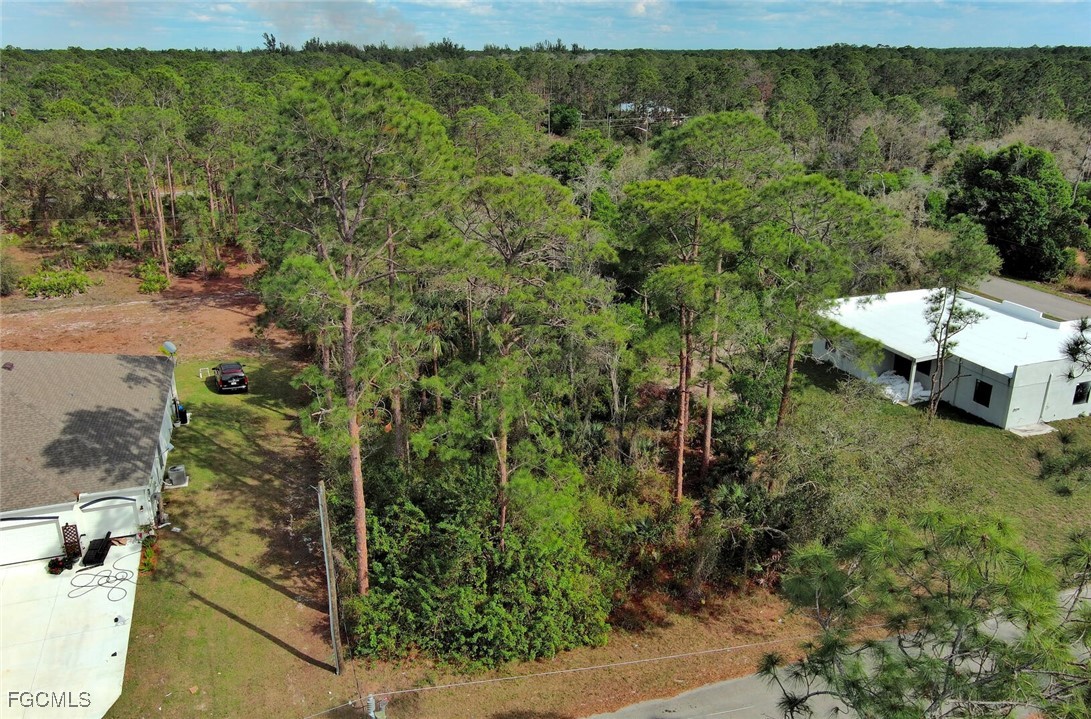 View from above of property with a forest