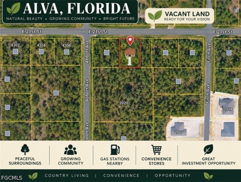 Photo of 4404 E 21st Street, Alva, FL 33920 (MLS # 2026039383)