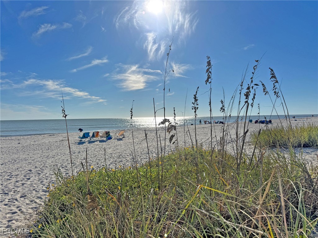 1220 Junonia Street B1