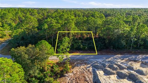 2428 Mabry Street Alva FL 33920