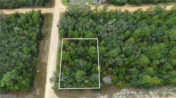 ADDRESS PRIVATE, INTERLACHEN, FL  - Image 5c6bfb63db83d28fb522d5053e35d6f5/2915985608