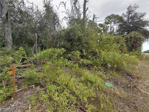 Tiny photo for 287 Avenida Del Sur, Clewiston, FL 33440 (MLS # 2026031005)