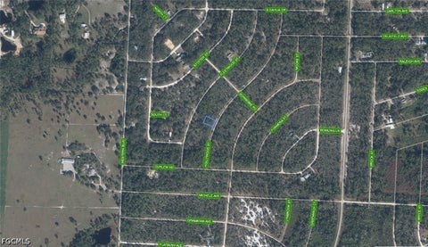 Tiny photo for 818 Hollywood Street, Lake Placid, FL 33852 (MLS # 2026039196)