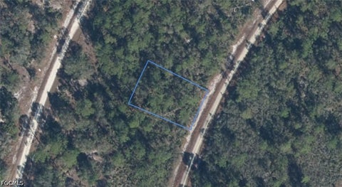 Photo of 818 Hollywood Street, Lake Placid, FL 33852 (MLS # 2026039196)