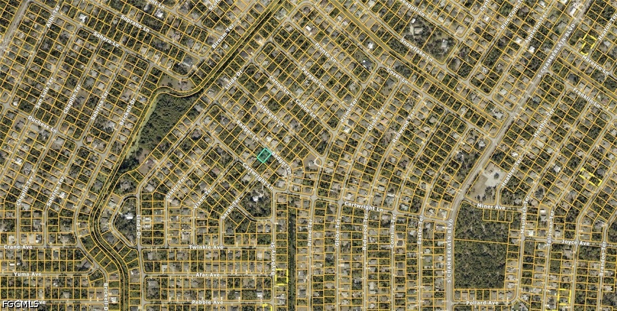 1004019603 Badger Lane