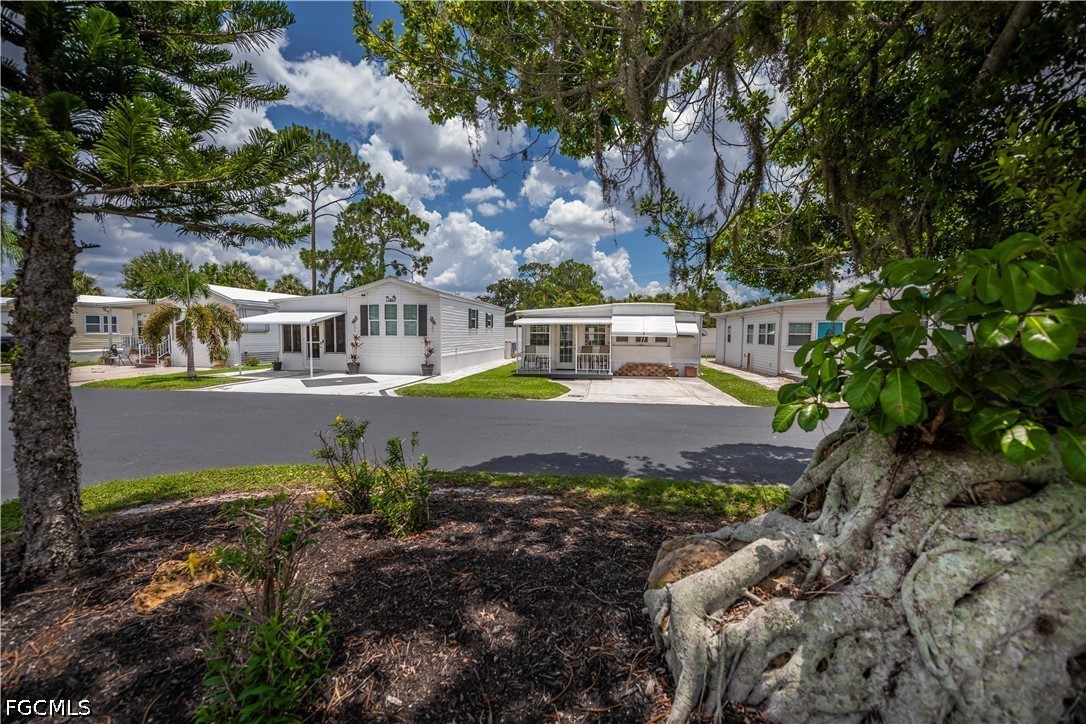 284 Blue Spring Terrace