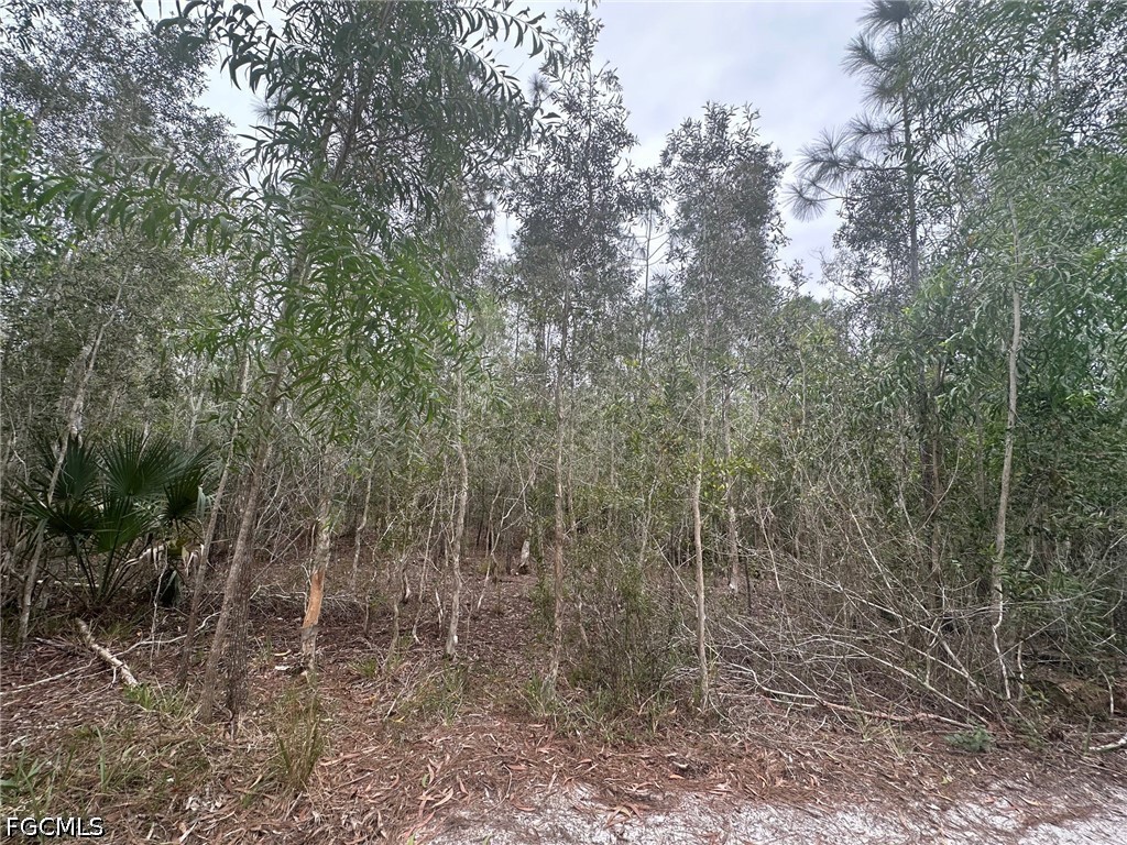 2258 Brooklawn Drive