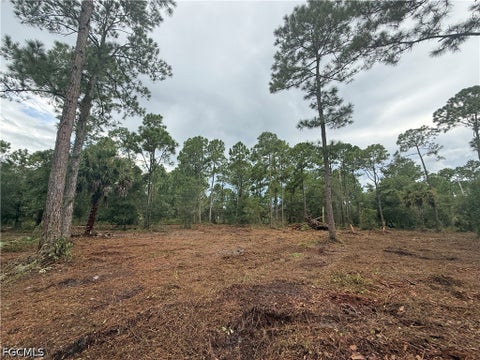 Photo of 250 N Quebrada Street, Clewiston, FL 33440 (MLS # 2026039579)
