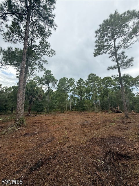 Tiny photo for 250 N Quebrada Street, Clewiston, FL 33440 (MLS # 2026039579)