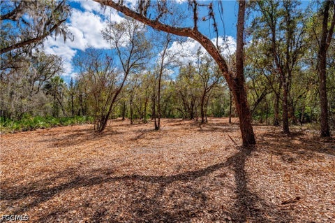 Tiny photo for SE Hwy 31, Arcadia, FL 34266 (MLS # 2026030832)