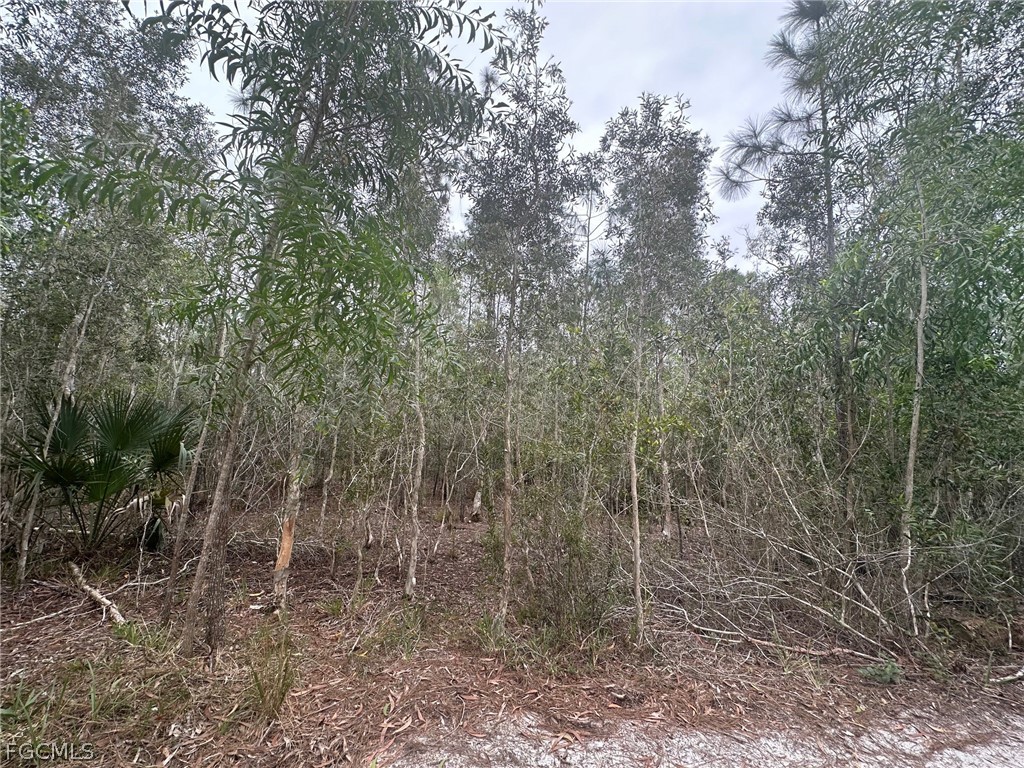 2258 Brooklawn Drive