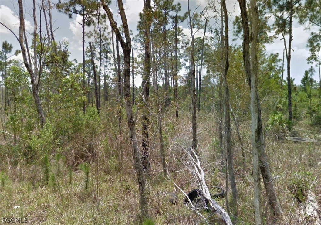 2258 Brooklawn Drive