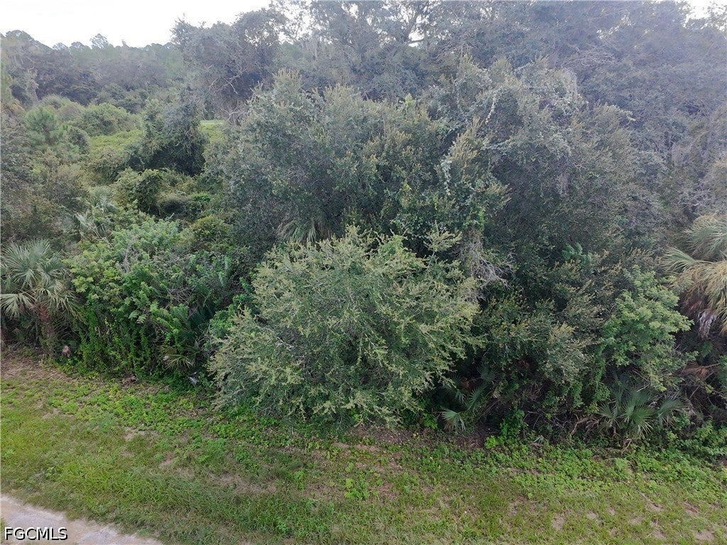 1801 Honduras Loop