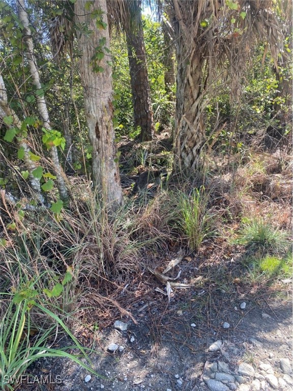 36TH Avenue SE