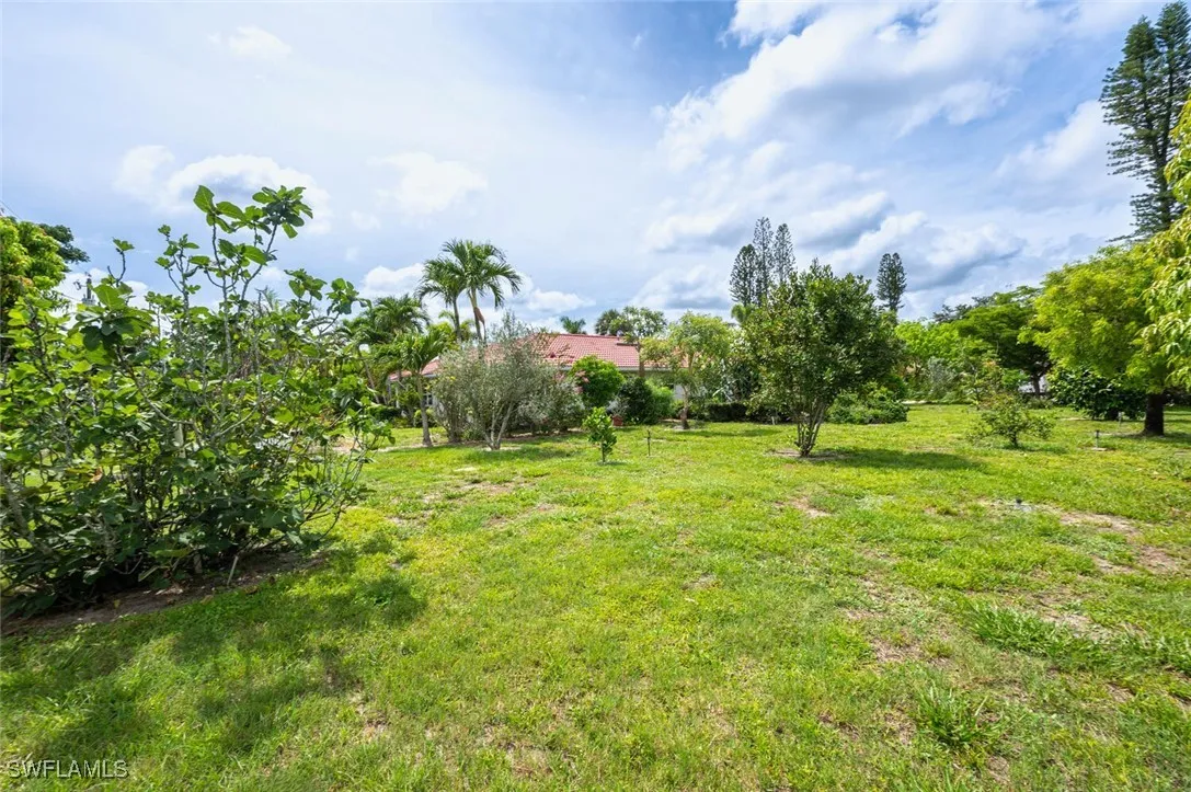 Bonita Springs, Florida 34135, United States, ,Land,Pending,219567