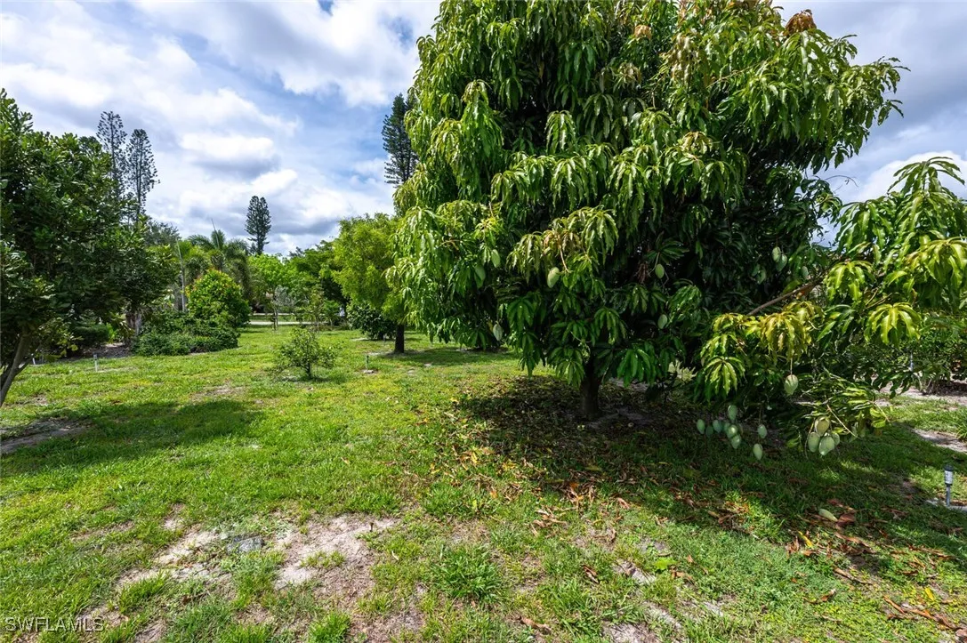 Bonita Springs, Florida 34135, United States, ,Land,Pending,219567