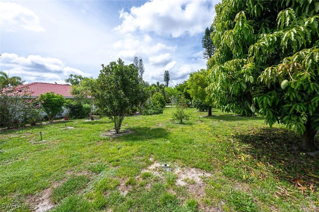 Bonita Springs, Florida 34135, United States, ,Land,Pending,219567