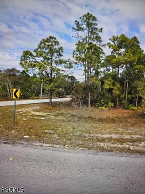 459 JAGUAR BLVD, LEHIGH ACRES, FL 33974 - Image 71c2a37cf9d6adce660c8276ece56f3e/1135793953