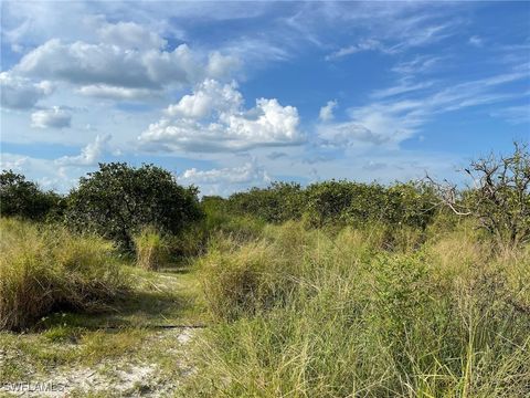 6876 5th Road Labelle FL 33935