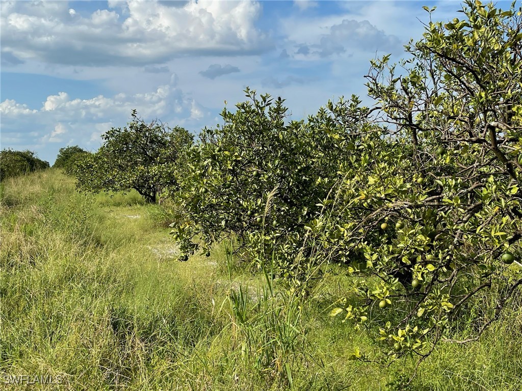 6876 5th Road