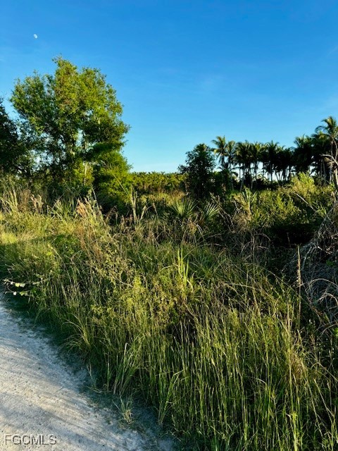 7465, 7448, 7421 Max Drive