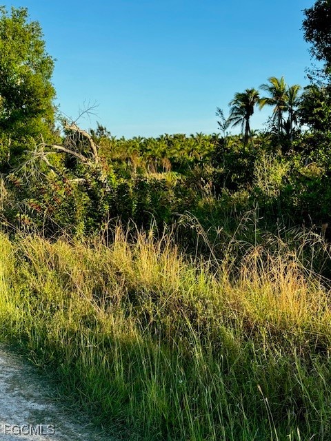 7465, 7448, 7421 Max Drive