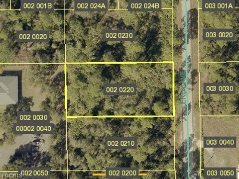 2019 Leroy Avenue Alva FL 33920