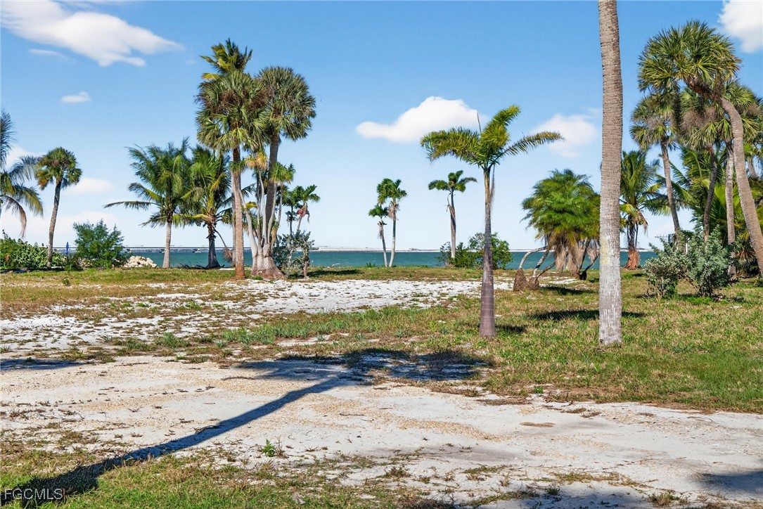 1245 Buttonwood Lane