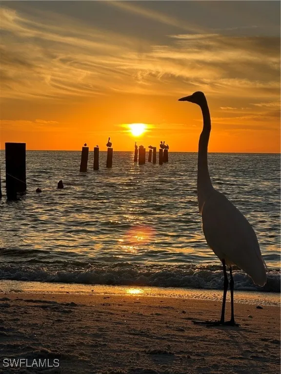 Naples, Florida 34110, United States, 3 Bedrooms Bedrooms, ,2 BathroomsBathrooms,Residential,Active,242054