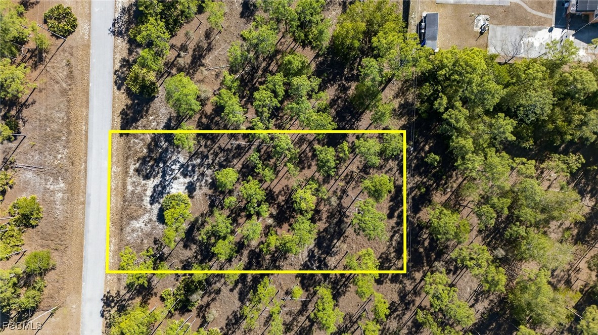 1009 Washington Avenue