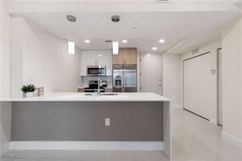 26600 Rosewood Pointe Drive B-101 Bonita Springs FL 34135