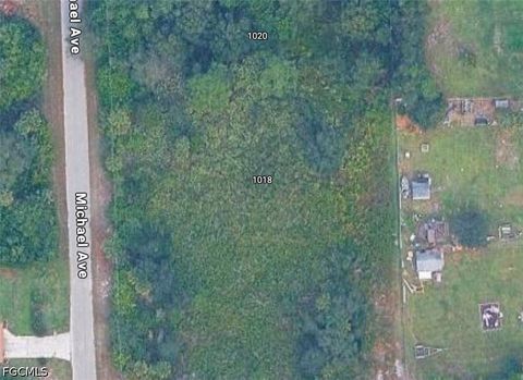 Tiny photo for 1018 Michael Avenue, Lehigh Acres, FL 33936 (MLS # 2026020164)