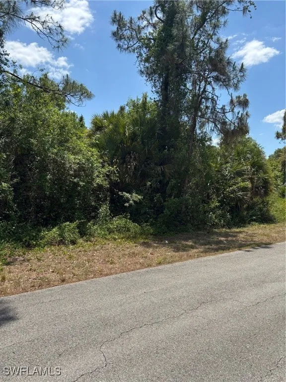 Lehigh Acres, Florida 33974, United States, ,Land,Active,116878