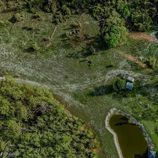 007 Misty Morning Lane