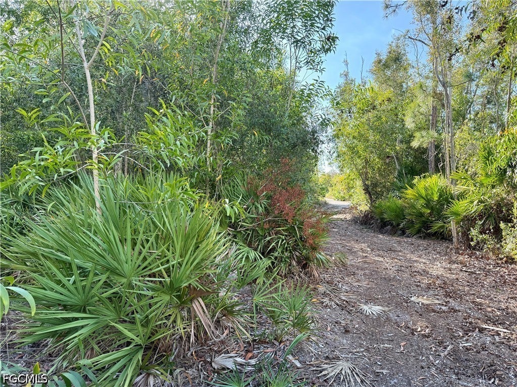Guava Avenue