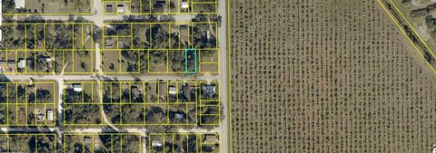 Fordson Avenue Labelle FL 33935